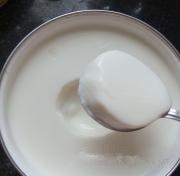 homemade yogurt
