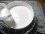 homemade yogurt
