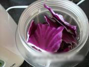 Purple cabbage yogurt smoothie
