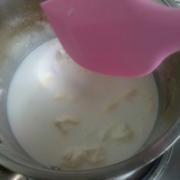 Coconut Milk Recipe (very easy version)
